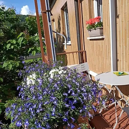 Hills Casa Di Mario Apartment *